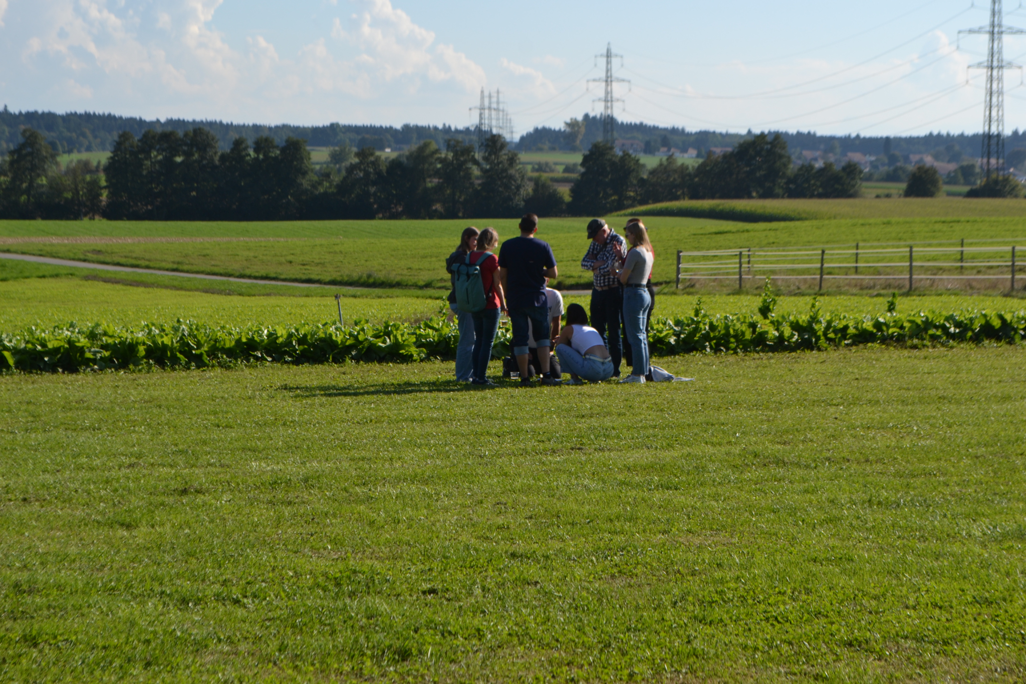 Bild (14)